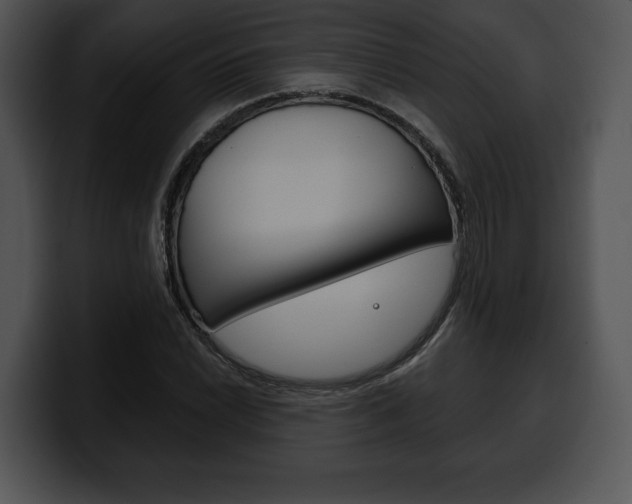 X0000100501022200806130725