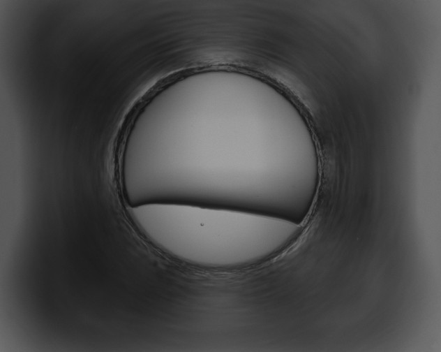 X0000100501023200806130725