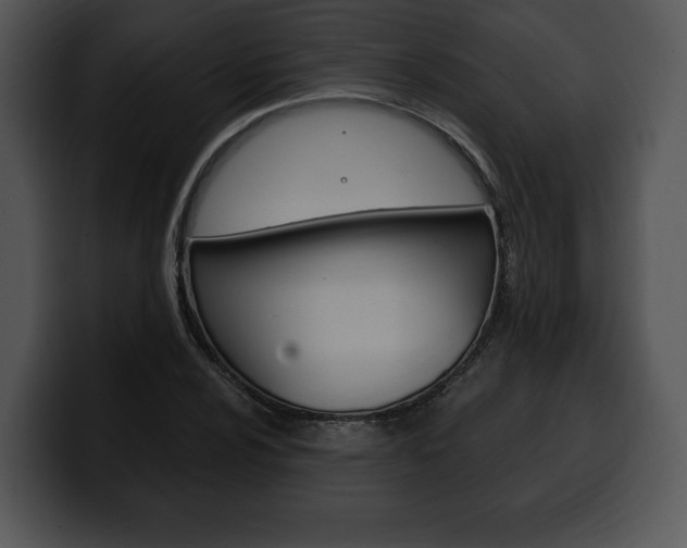 X0000100501024200806130725
