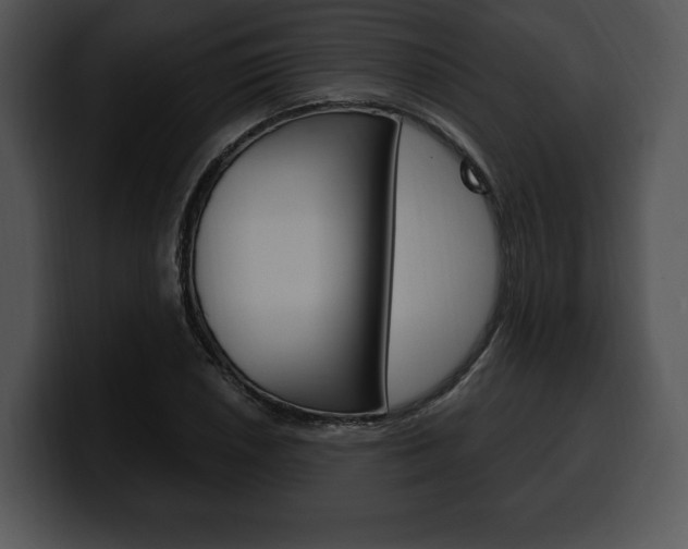 X0000100501026200806130725