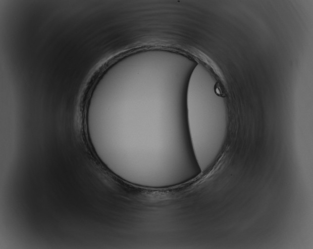 X0000100501027200806130725