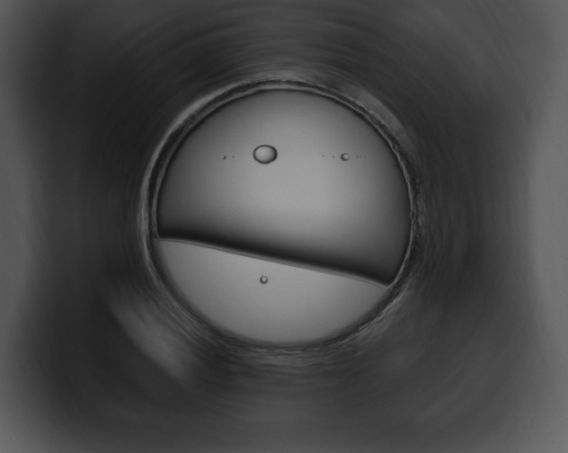 X0000100501028200806130725