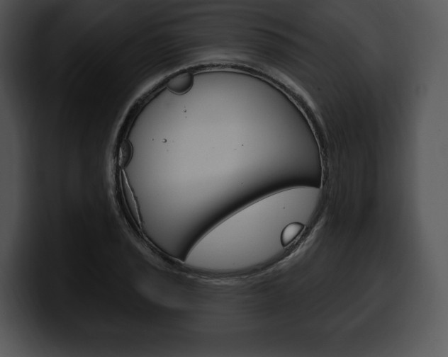X0000100501029200806130725