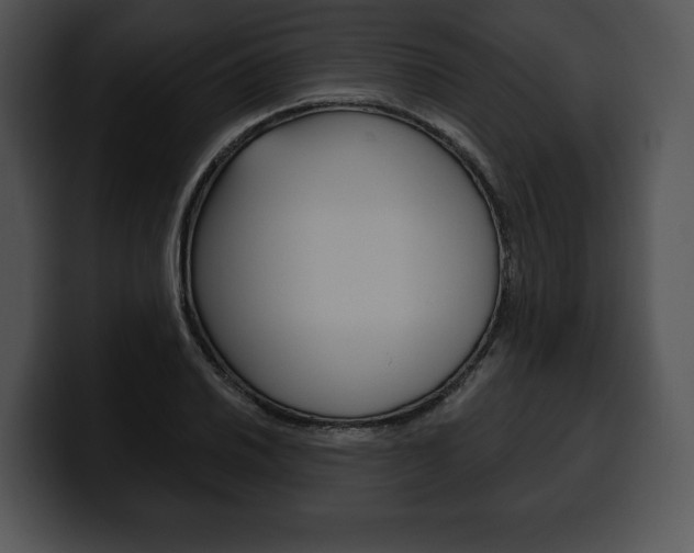 X0000100501030200806130725