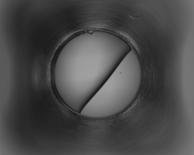 X0000100501031200806130725