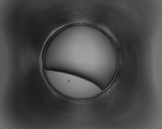 X0000100501032200806130725