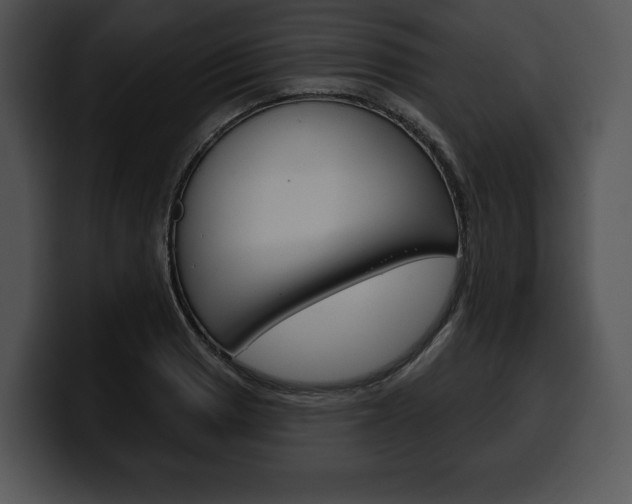 X0000100501033200806130725