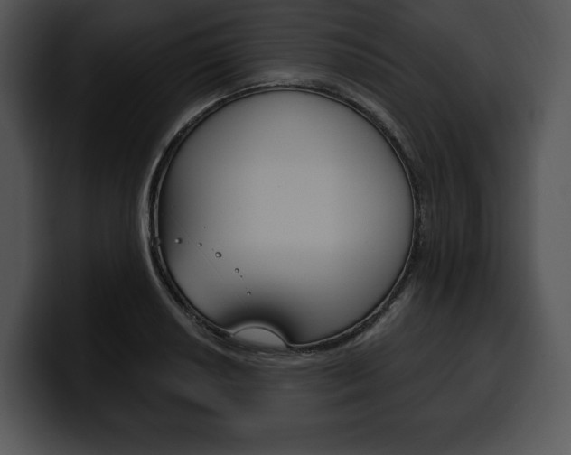 X0000100501034200806130725