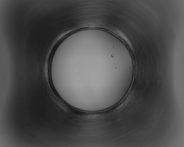 X0000100501035200806130725