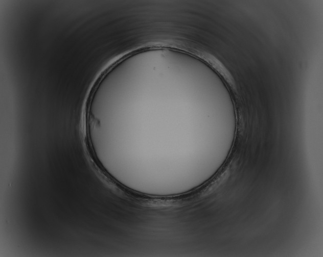 X0000100501036200806130725