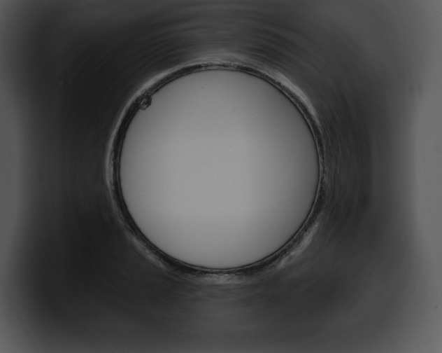 X0000100501037200806130725