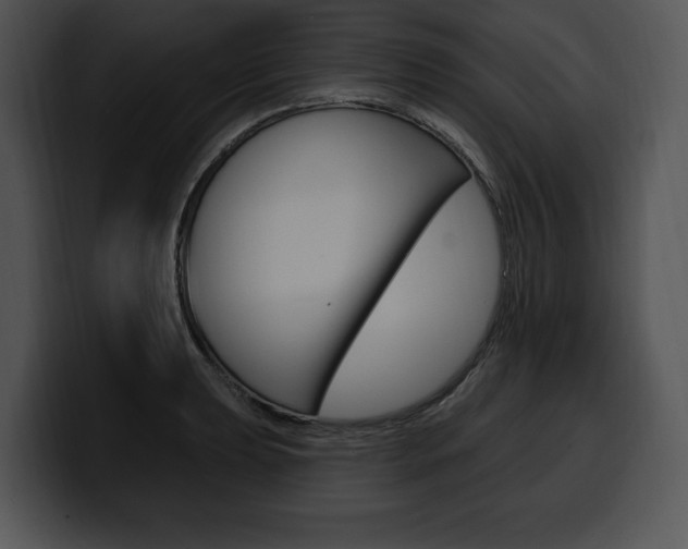 X0000100501039200806130725