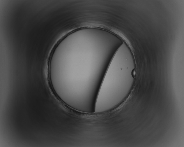 X0000100501040200806130725