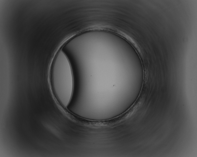 X0000100501042200806130725
