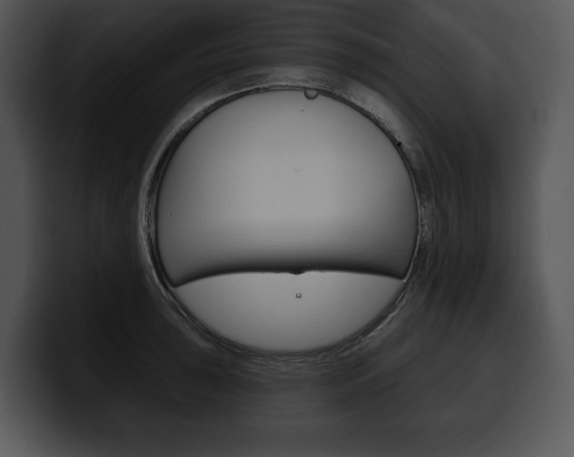 X0000100501043200806130725