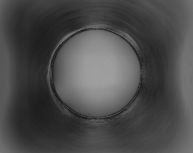 X0000100501044200806130725