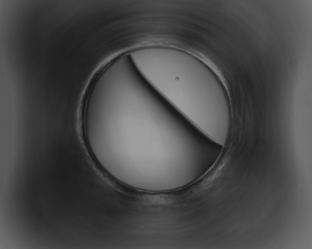 X0000100501045200806130726