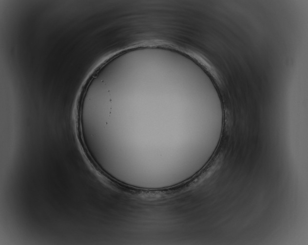 X0000100501046200806130726