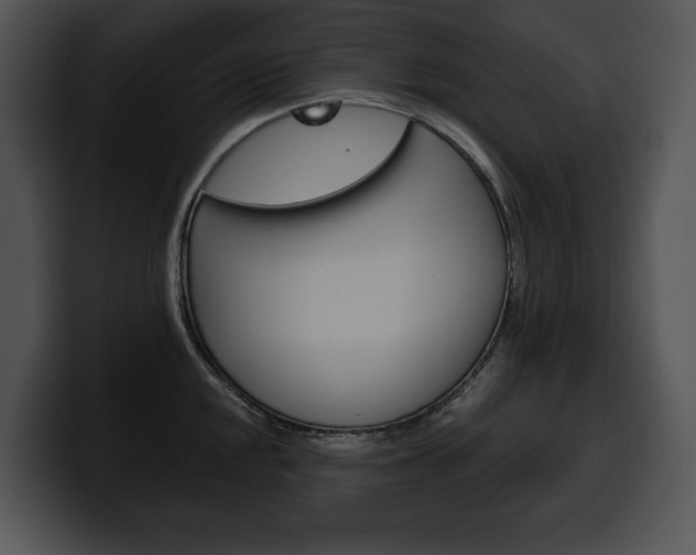 X0000100501048200806130726