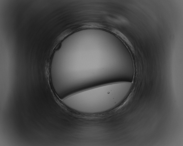X0000100501049200806130726