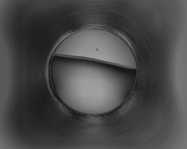 X0000100501050200806130726