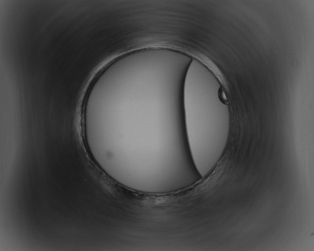 X0000100501051200806130726