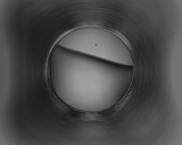 X0000100501052200806130726