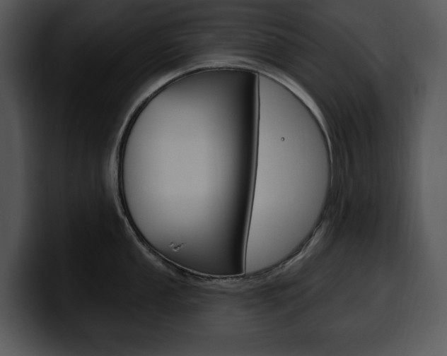 X0000100501053200806130726