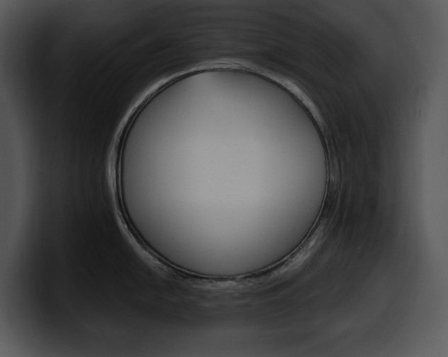 X0000100501054200806130726