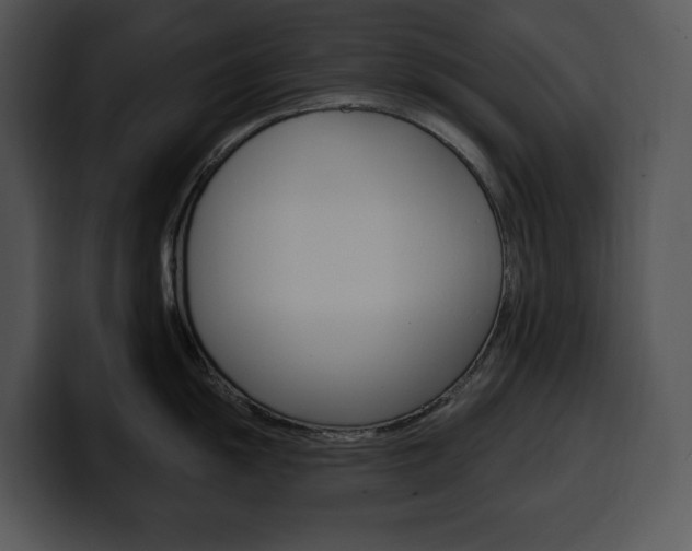 X0000100501055200806130726