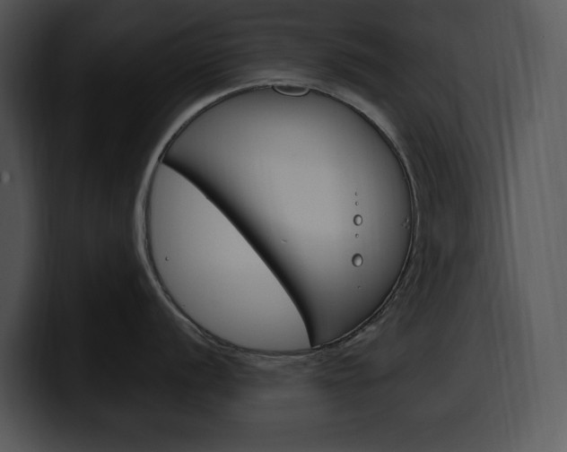 X0000100501056200806130726