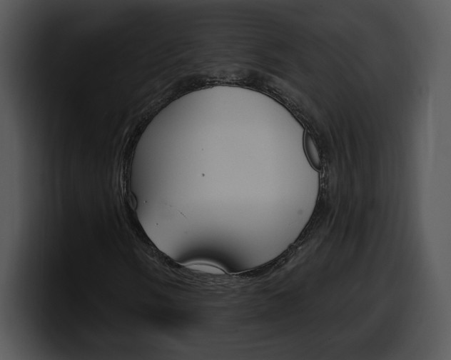 X0000100501058200806130725
