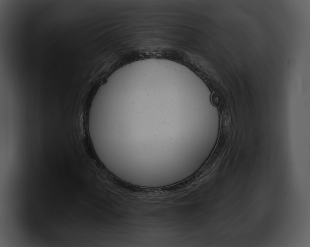 X0000100501060200806130725