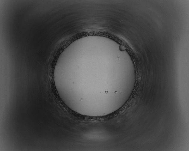 X0000100501063200806130725