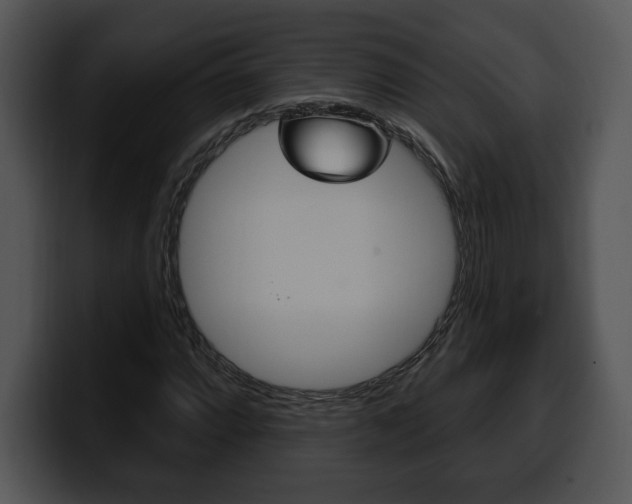 X0000100501064200806130725