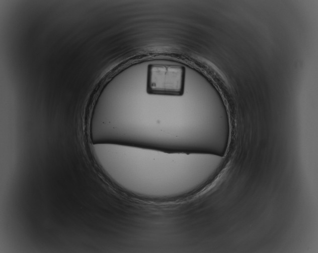 X0000100501065200806130725