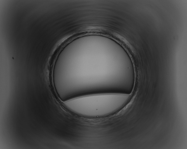 X0000100501066200806130725