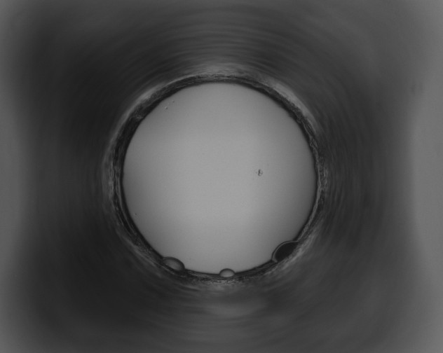 X0000100501067200806130725