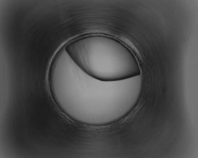 X0000100501068200806130725