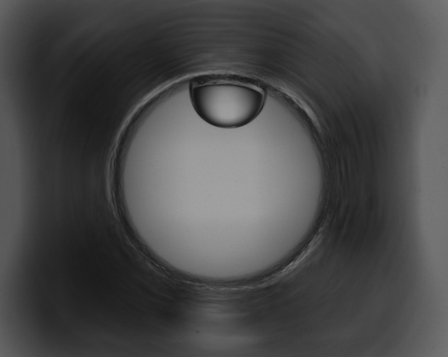 X0000100501069200806130725