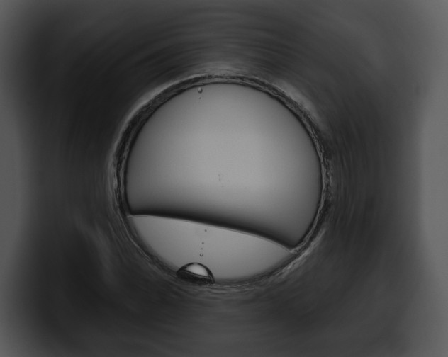 X0000100501070200806130725