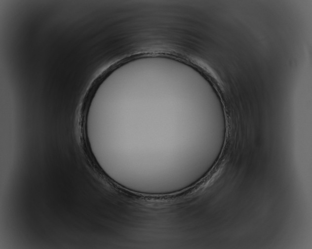 X0000100501071200806130725