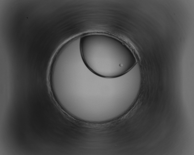X0000100501072200806130725