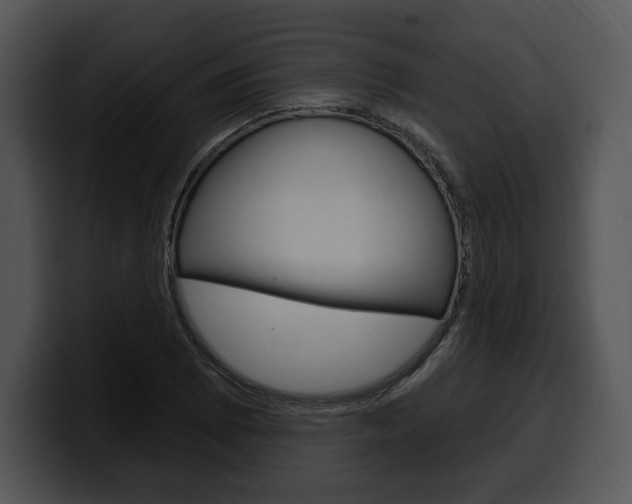 X0000100501073200806130725
