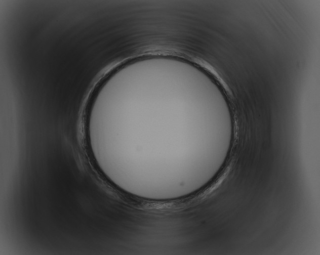 X0000100501074200806130725