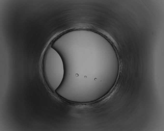 X0000100501075200806130725