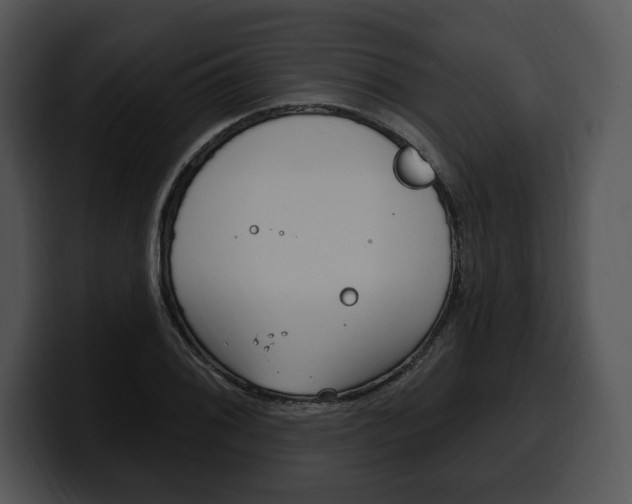 X0000100501076200806130725