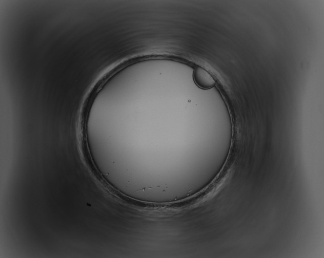 X0000100501077200806130725