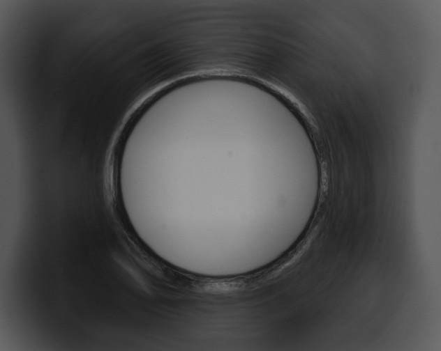 X0000100501078200806130725
