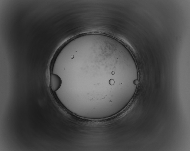 X0000100501079200806130725